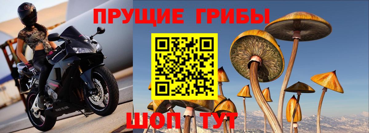 Псилоцибиновые грибы MAGIC MUSHROOMS Набережные Челны